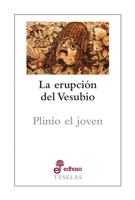LA ERUPCI�N DEL VESUBIO