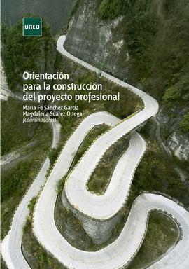 ORIENTACI�N PARA LA CONSTRUCCI�N DEL PROYECTO PROFESIONAL