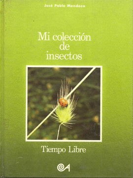 MI COLECCION DE INSECTOS