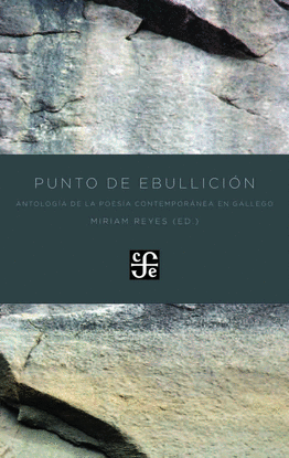 PUNTO DE EBULLICI�N