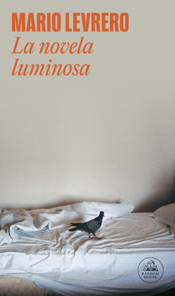 LA NOVELA LUMINOSA