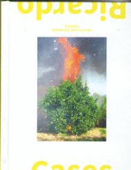 RICARDO CASES. ESTUDIO ELEMENTAL DE LEVANTE