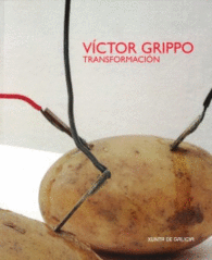 VICTOR GRIPPO TRANSFORMACION