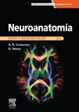 NEUROANATOM�A. TEXTO Y ATLAS EN COLOR + STUDENTCONSULT  (5� ED.)