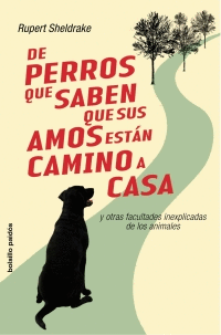 DE PERROS QUE SABEN QUE SUS AMOS ESTN CAMINO DE CASA