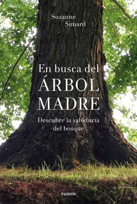 EN BUSCA DEL �RBOL MADRE