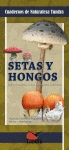 SETAS Y HONGOS