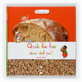 QU� HI HA DINS DEL PA?