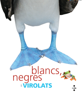 BLANCS, NEGRES I VIROLATS