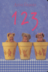123