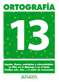 ORTOGRAF�A 13