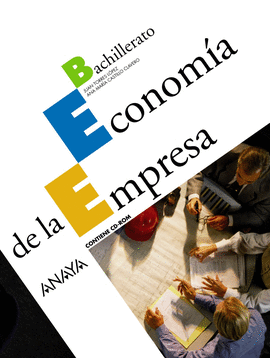 ECONOM�A DE LA EMPRESA.