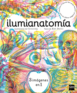 ILUMIANATOMA