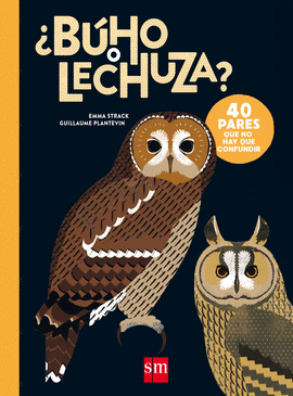 �B�HO O LECHUZA?