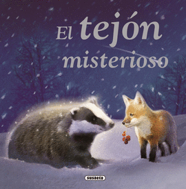 EL TEJ�N MISTERIOSO