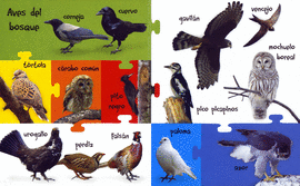 ANIMALES DEL BOSQUE
