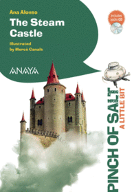 THE STEAM CASTLE     READING AGE +1