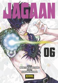 JAGAAN 06