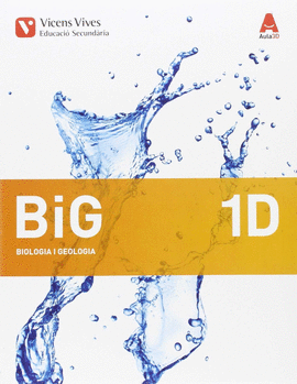 BIG 1D (QUADERN DIVERSITAT) AULA 3D