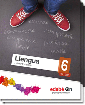LLENGUA 6