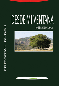 DESDE MI VENTANA