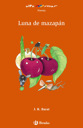 LUNA DE MAZAPN