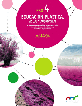 EDUCACI�N PL�STICA, VISUAL Y AUDIOVISUAL 4�ESO. APRENDER ES CRECER EN CONEXI�N