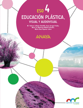 EDUCACI�N PL�STICA, VISUAL Y AUDIOVISUAL 4.