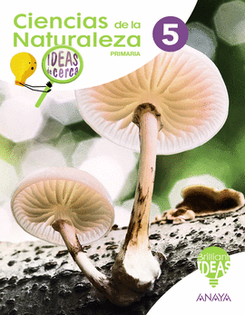 CIENCIAS DE LA NATURALEZA 5�PRIMARIA. IDEAS DE CERCA. BRILLIANT IDEAS 2019