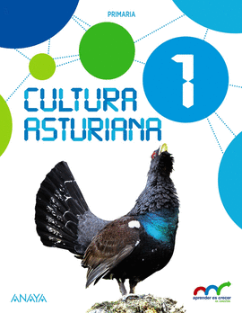 CULTURA ASTURIANA 1.