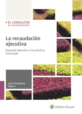 LA RECAUDACIN EJECUTIVA