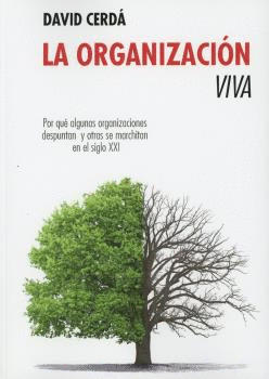 ORGANIZACION VIVA