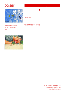 �NGELES CON PALAS