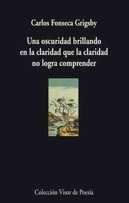 UNA OSCURIDAD BRILLANDO EN LA CLARIDAD QUE LA CLARIDAD NO LOGRA COMPRENDER