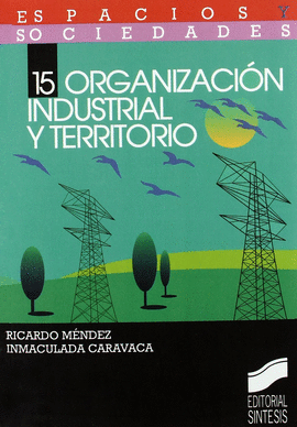 ORGANIZACION INDUSTRIAL Y TERRITORIO