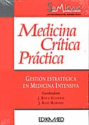 GESTI�N ESTRAT�GICA EN MEDICINA INTENSIVA