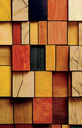 DIVERSIDAD COMO COMUNION