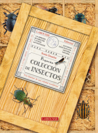 PEQUE�A COLECCION DE INSECTOS CON L