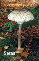 GU�A CAMPO SETAS