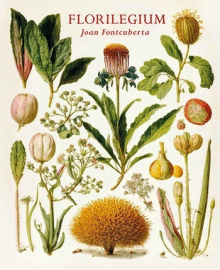 FLORILEGIUM