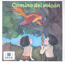 CAMINO DEL VOLC�N
