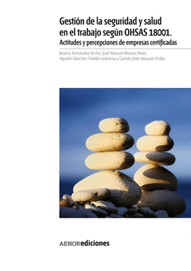 GESTI�N DE LA SEGURIDAD Y SALUD EN EL TRABAJO SEG�N OHSAS 18001. ACTITUDES Y PERCEPCIONES DE EMPRESA