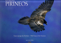 FAUNA SALVAJE DE LOS PIRINEOS FAUNE SAUVAGE DES PY