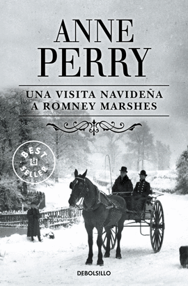 UNA VISITA NAVIDEA A ROMNEY MARSHES