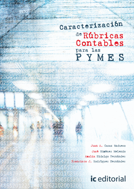 CARACTERIZACI�N DE R�BRICAS CONTABLES PARA LAS PYMES