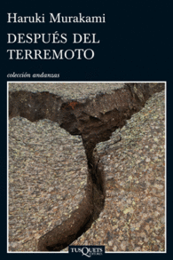 DESPU�S DEL TERREMOTO