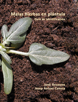 MALAS HIERBAS EN PL�NTULA.