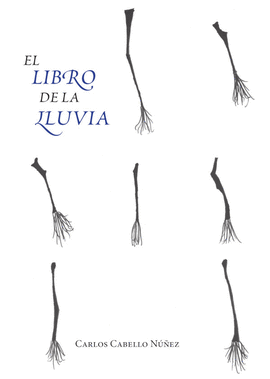 EL LIBRO DE LA LLUVIA