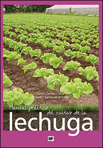 MANUAL PRACTICO DE CULTIVO DE LECHUGA