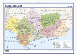 ANDALUC�A, POL�TICO